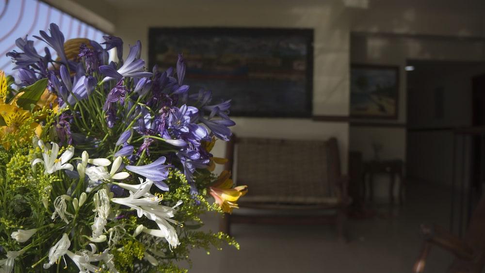 Hotel Luis V ซานโตโดมิงโก ภายนอก รูปภาพ