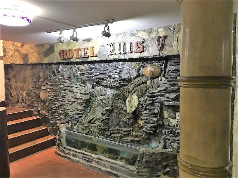 Hotel Luis V ซานโตโดมิงโก ภายนอก รูปภาพ